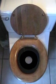 Platform on Cat Litter, Inside Toilet