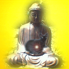 Buddha with Hairless Cat, Sphynx, Millie