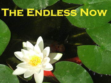 endless now